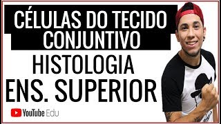 Aula Células do Tecido Conjuntivo  Aula de Biologia para Ens Superior [upl. by Hild]