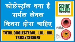 Normal Cholesterol Levels  Total Cholesterol  LDL  HDL  Triglycerides [upl. by Gehman766]