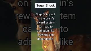 How addictive is sugar [upl. by Billy]