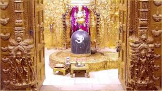 🔴 Live Sayam Aarti  Shree Somnath Temple First Jyotirlinga30November2023 [upl. by Erida523]