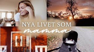 LIVET SOM UNG MAMMA👶🏼🍼  börja julpynta🎄🎁 nyfödd med magknip amp mina bästa spartips 🤎🍂 [upl. by Adi]