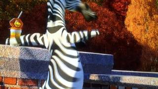 Madagascar 2 Trailer [upl. by Kameko]