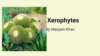 Xerophytes [upl. by Jeth]