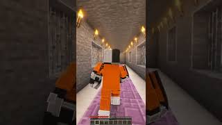 We never leave someone behind Prison Lil Nas X Jack Harlow  INDUSTRY BABY shorts minecraft [upl. by Ormsby3]