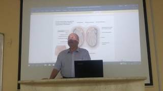 Genital module 5  Epididymis   by Dr Wahdan [upl. by Oirasor307]