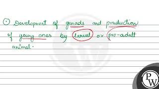 Paedogenesis refers to A Precocious development of gonads B Retention of larval characters b [upl. by Krasnoff]