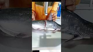 Pangas fish cutting l Fish Cutting By Machine In Fish Market l Fish Cutting Video Showl shorts [upl. by Oinotla653]