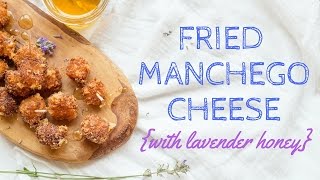 MANCHEGO Cheese Review Episode 5 [upl. by Akvir929]