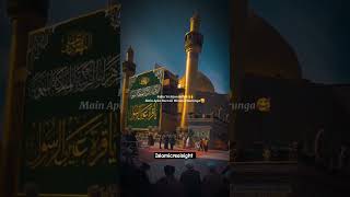 haider e karrar ye wahi tha haider zulfiqar muhammadﷺ allah islamicvideo shorts [upl. by Millicent650]