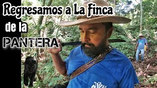 Regresamos a La Finca de La Pantera [upl. by Odranoel]