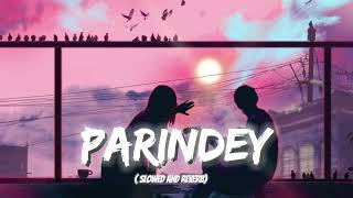 Parindey Slowed and Reverb  B Praak  Gippy Grewal Sargun Mehta  Parindey Lofi Song [upl. by Aniratak]