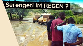 SERENGETI Safari VLOG ● Tansania Safari Teil 2 [upl. by Airat]