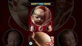 Happy Baby Time in the Womb Week by Week Fetal Development shortsfeed baby fetus [upl. by Channa]