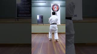 SANCHIN KATA GOJU RYU KARATE by Davy Wijaya Sensei [upl. by Nyliak814]