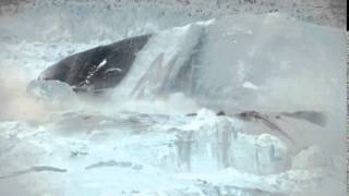 Leffondrement et la fonte dun glacier filmés en direct dans cette vidéo [upl. by Dripps648]