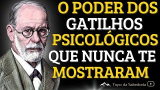 OS 28 PODEROSOS TRUQUES PSICOLÓGICOS QUE REALMENTE FUNCIONAM [upl. by Spillar]