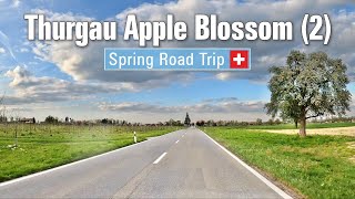 Spring in Switzerland 🇨🇭 Ep7 • Road Trip through the Thurgau apple blossom landscape Pt 2 🍎 4K [upl. by Gildas156]