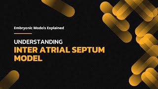 Understanding Interatrial Septum Development Exploring the Path to a Strong Heart [upl. by Nnorahs]