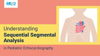 Understanding Sequential Segmental Analysis in Pediatric Echocardiography [upl. by Ahsiram]