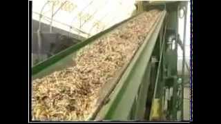 Micronex biomass fuel preparation system for gasification technology [upl. by Ayekehs989]