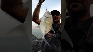 ledge fishing INDIA 🎣🇮🇳 Trevally shorts fishing india food [upl. by Lexy]