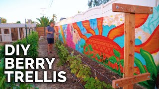 How To Build A Raspberry Trellis  Keep Your Berries Producing For YEARS [upl. by Fancy560]