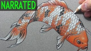 How to Draw a Fish quotKoiquot Narrated StepbyStep [upl. by Silloc538]