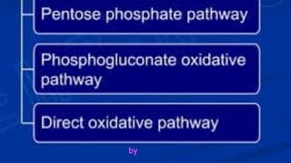 ViralHexosemonophosphatepathway🤔🤔HMPShuntHexosemonophosphateshuntpathwayPentosephosphatepathway [upl. by Adirem]