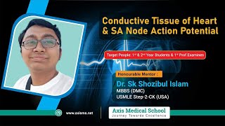 Conductive Tissue of Heart amp SA Node Action Potential বাংলা [upl. by Anh]