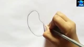 how to draw structure of seed  how to draw a structure of a bean seed  how to make diagram of seed [upl. by Antonin]