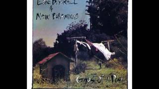 Edie Brickell amp New Bohemians  Black and blue [upl. by Paehpos]