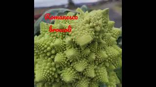 Romanesco broccoli also known as broccolo romanesco romanesque cauliflower or romanesco [upl. by Oahc]