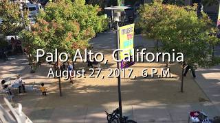 Finlandia Flash Mob  Palo Alto California [upl. by Fabria]