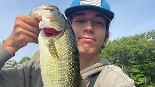 Largemouth Bass Fishing [upl. by Westfahl]