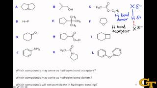 Identifying Hydrogen Bond Donors amp Acceptors [upl. by Gillie]