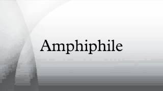 Amphiphile [upl. by Jarietta]