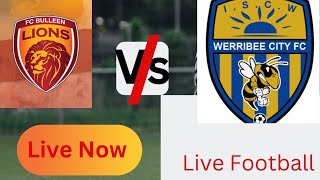 FC Bulleen Lions vs Verribee City live match todayfootball Live streamAustraliaLeague2024 [upl. by Leena110]