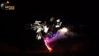 100 Shots Cake Fireworks Show [upl. by Marasco]