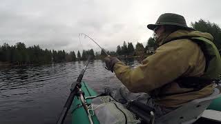 Beaver Lake Broodstock Rainbow Trout January 2018 [upl. by Wendie]