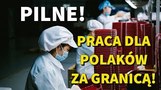 Praca za Granicą Do jakiego kraju wyjechać do pracy w 2023 roku [upl. by Astri556]