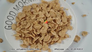 High Quality Fried Garlic Chips Wholesale Price friedgarlic garlic friedonions [upl. by Ibib]