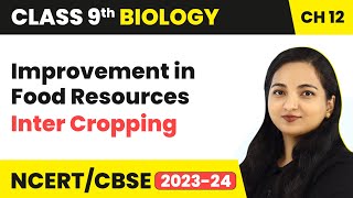 Cropping Patterns  Inter Cropping  Improvement in Food Resources  Class 9 Biology Chapter 12 [upl. by Luthanen]