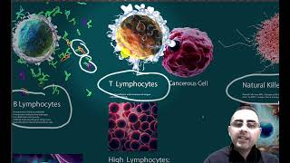 Lymphocytes  lymphocytes high in blood test Lymphocytes low [upl. by Liahkim]