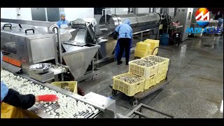 Quail egg peeling processing line to remove quaill egg shell [upl. by Nhojleahcim545]