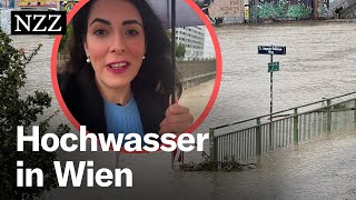 Hochwasser in Wien Nicht die Donau ist das Problem – sondern der Wienfluss [upl. by Araiet]