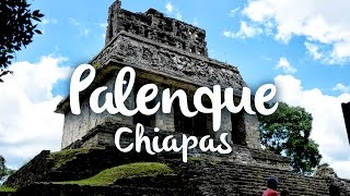 Palenque Chiapas que hacer en la zona arqueológica [upl. by Milman]