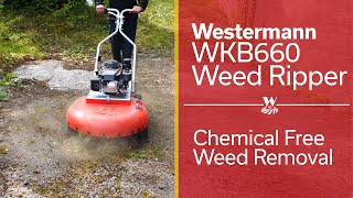 Westermann WKB660 Weed Ripper  Chemical Free Weed Removal [upl. by Nedyah390]