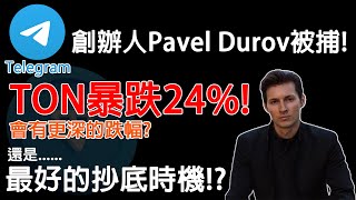 Telegram創辦人Pavel Durov被捕 TON暴跌24 會有更深的跌幅 還是最好的抄底時機 農場大草原EP18 [upl. by Tsyhtema711]