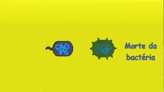 Microbiologia  Transferência Horizontal de Genes em Bactérias [upl. by Timi]