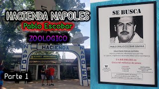 Hacienda de Pablo Escobar Cartel de Medellín Hacienda Napoles Hipopótamos en Colombia [upl. by Coonan474]